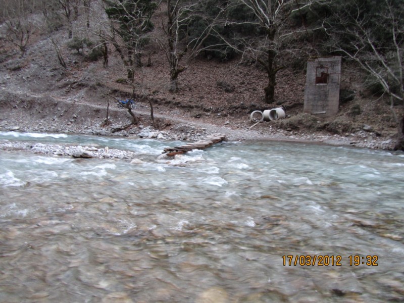 IMG_1000.jpg