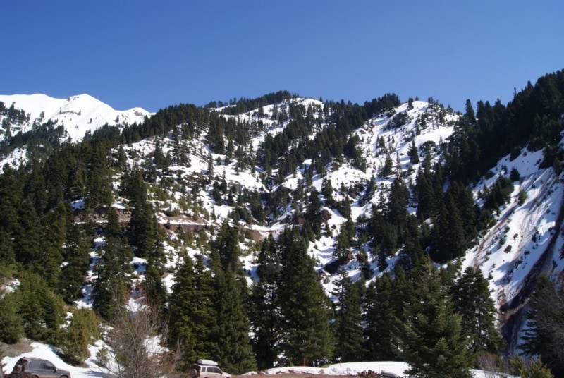 DSC03771.jpg