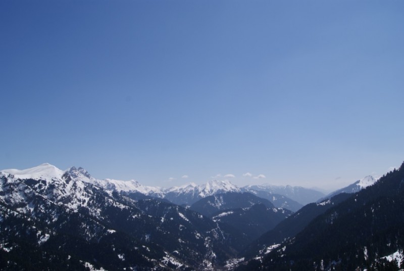 DSC03767.jpg