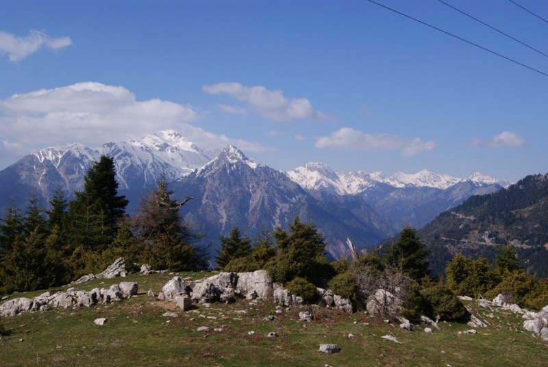 DSC03604.jpg