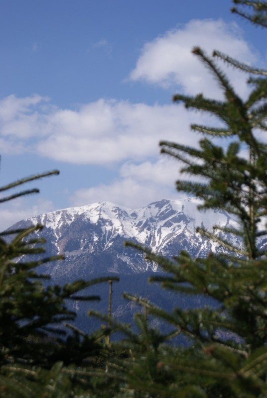 DSC03595.jpg
