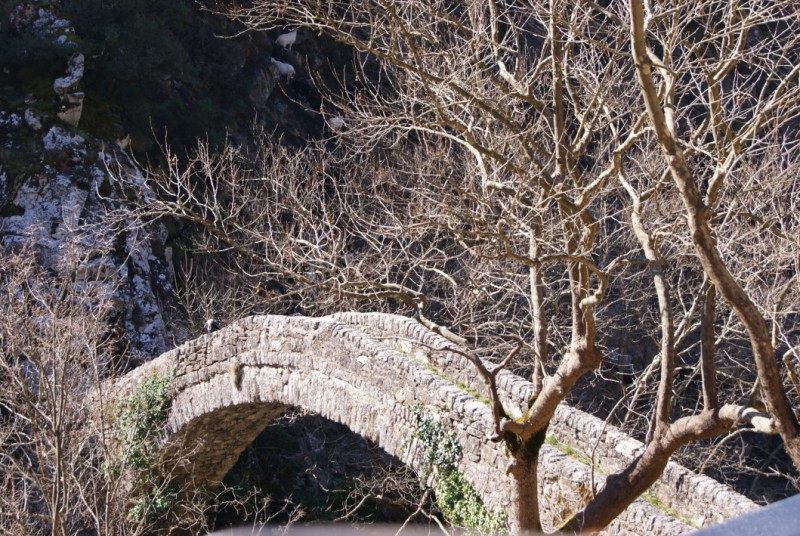 DSC03498.jpg