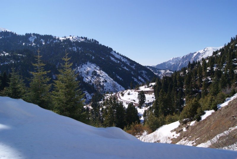 DSC03360.jpg
