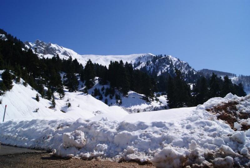 DSC03340.jpg