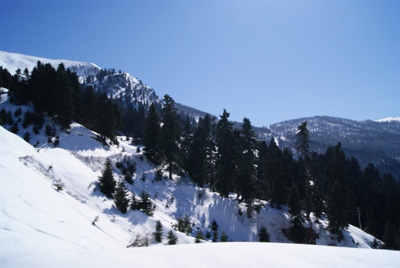 DSC03334.jpg