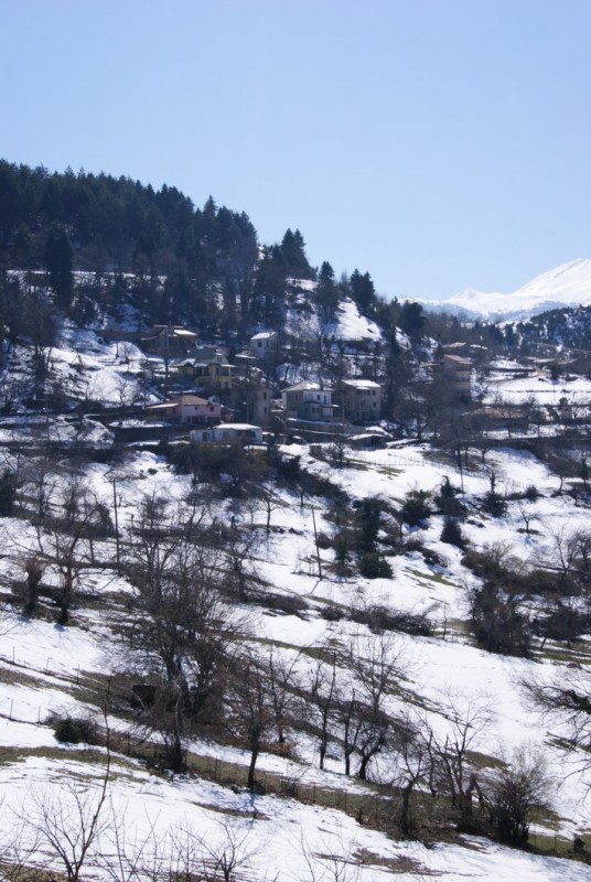 DSC03325.jpg