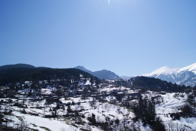 DSC03318.jpg