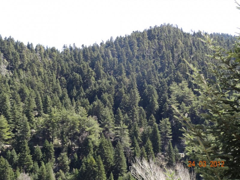 DSC09292.JPG