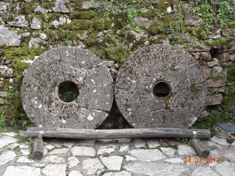 DSC09356.jpg