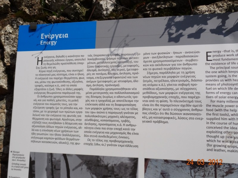 DSC09368.jpg