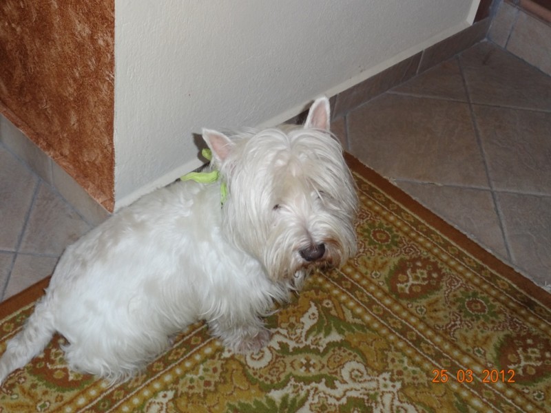 DSC09410.jpg
