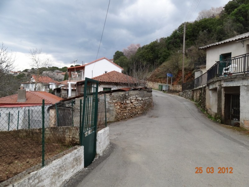 DSC09418.jpg