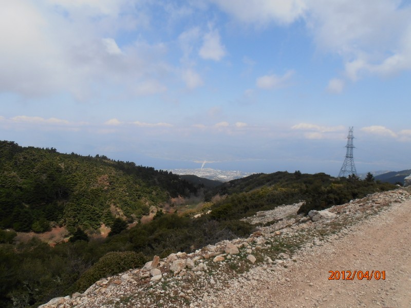P4010075.jpg