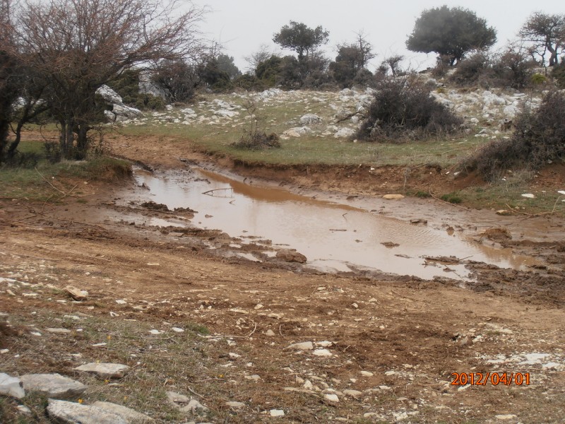 P4010082.jpg