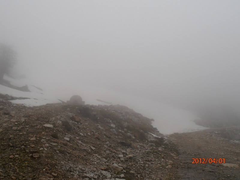 P4010084.jpg