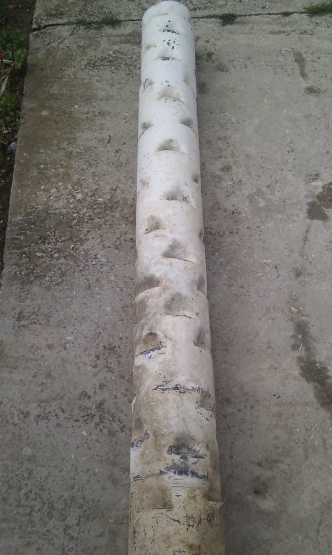 IMAG0481.jpg