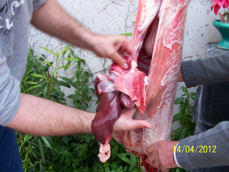 100_0431_tn.jpg