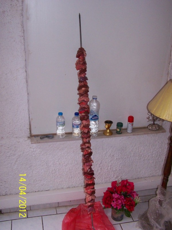 100_0440_tn.jpg