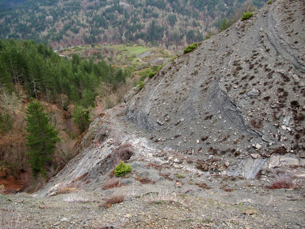 9a.jpg