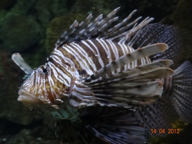 DSC09907.JPG