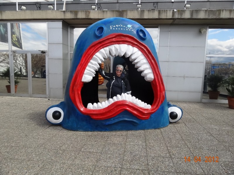 DSC09964.JPG