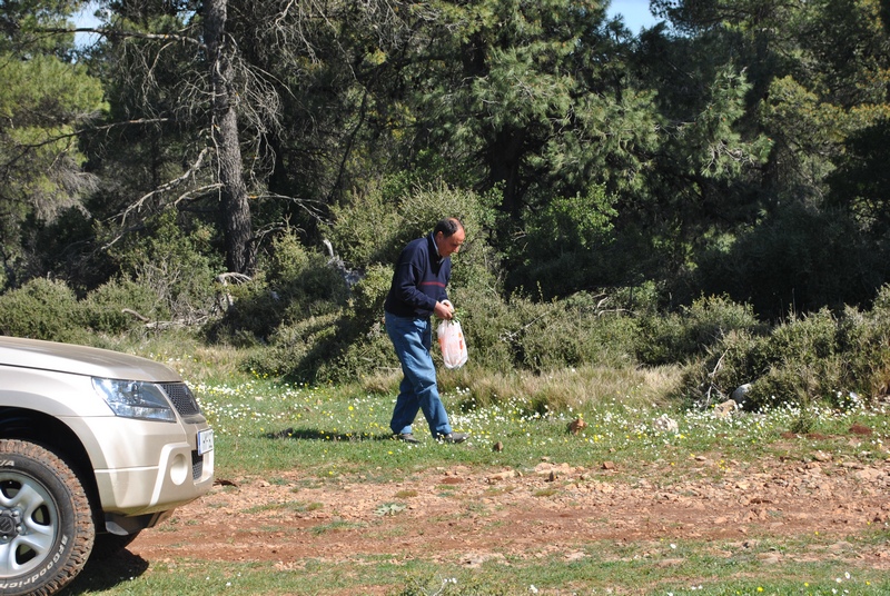 DSC_0246.JPG