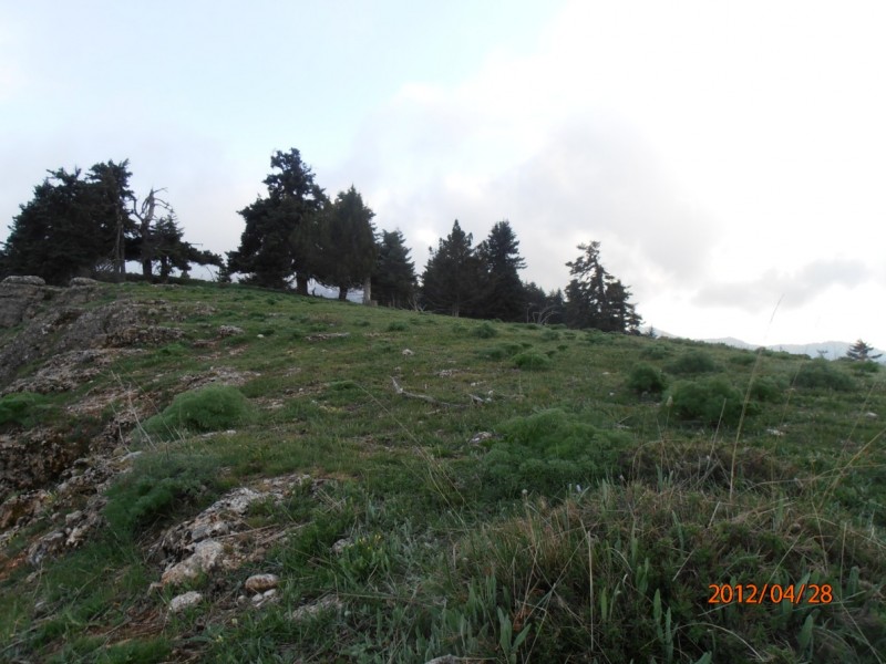 P4280113.jpg