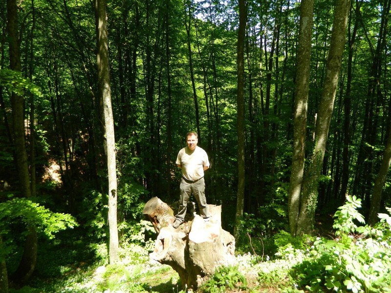 DSCN0646.JPG