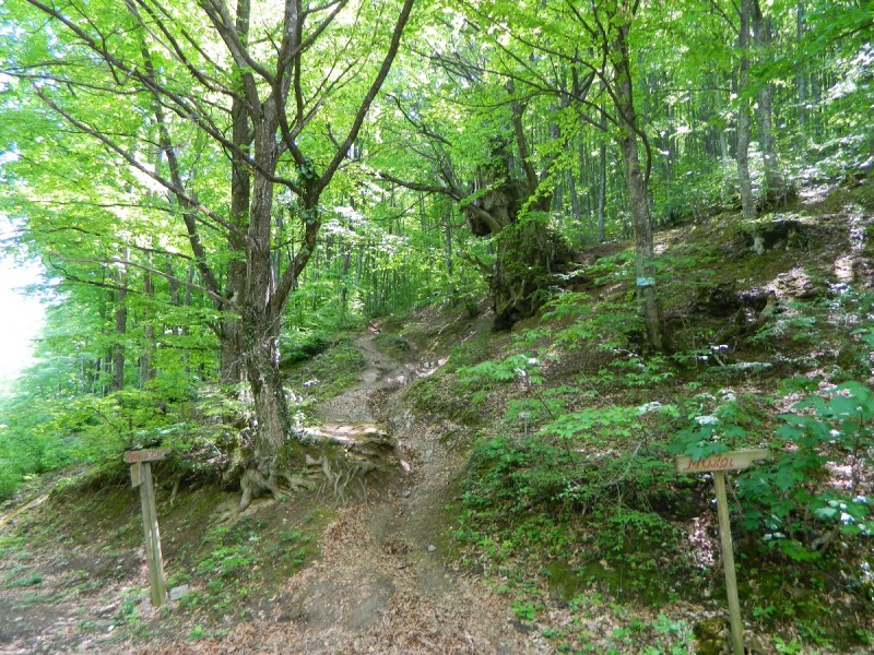 DSCN0647.JPG