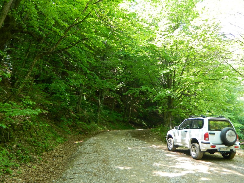 DSCN0650.JPG