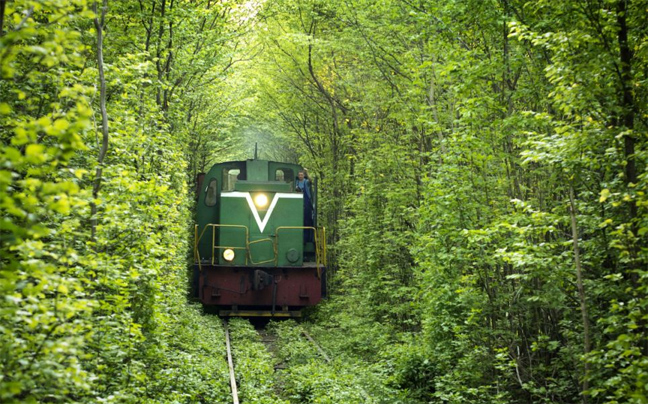treno_dasos3.jpg
