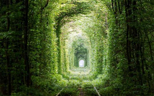 treno_dasos6.jpg
