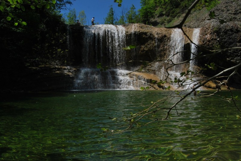 DSC_0714.jpg