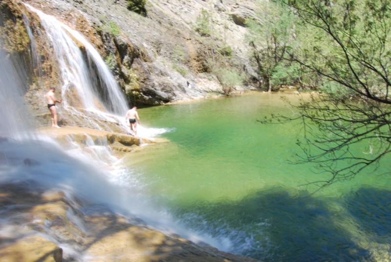DSC_0736.jpg