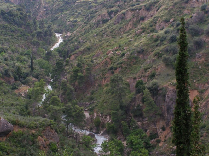 P5111614.jpg