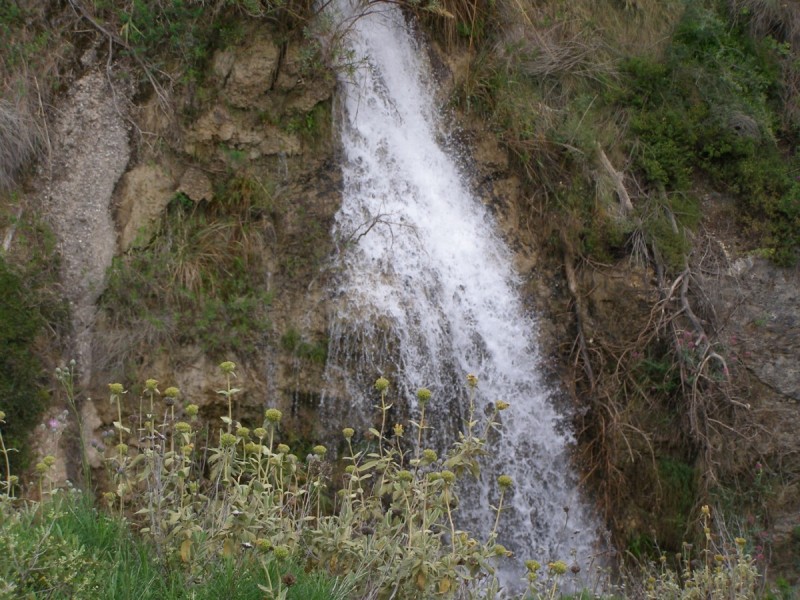 P5111617.jpg