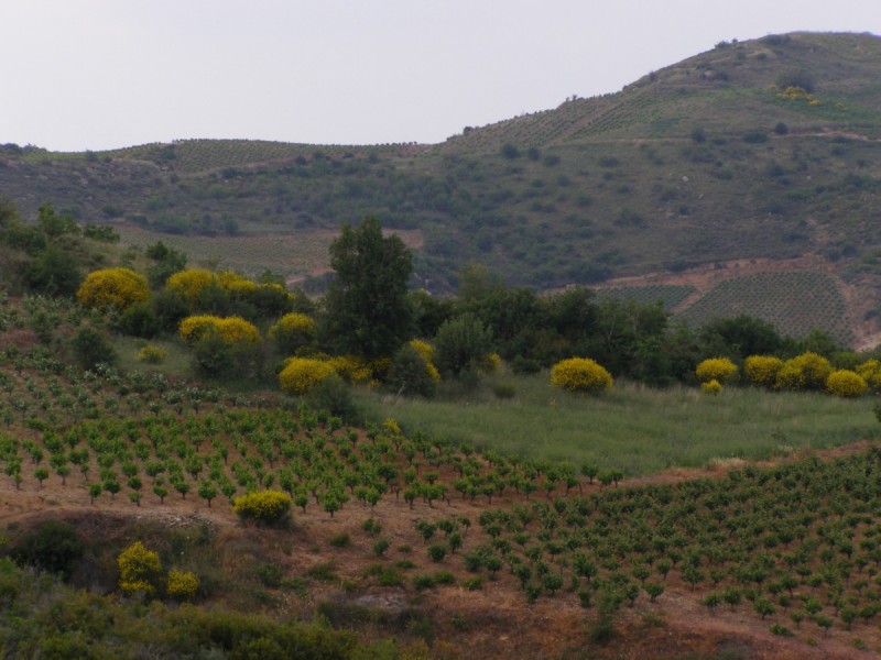 P5111624.jpg