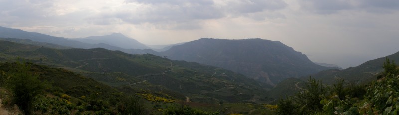 panorama 2.jpg