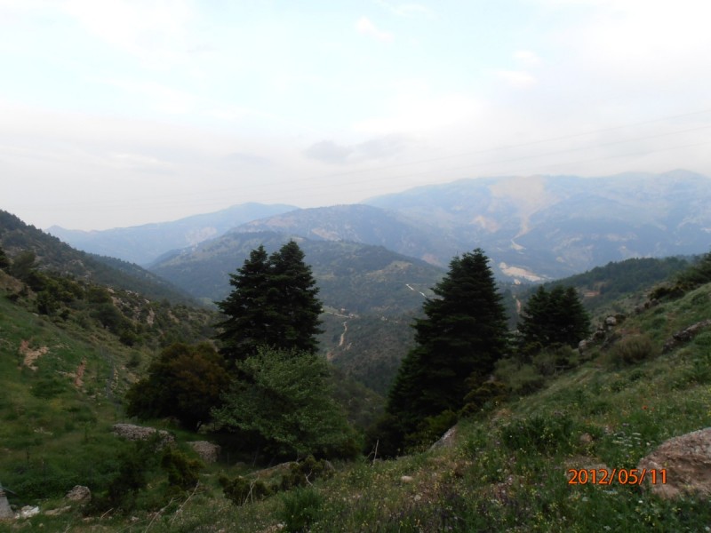 P5110113.jpg