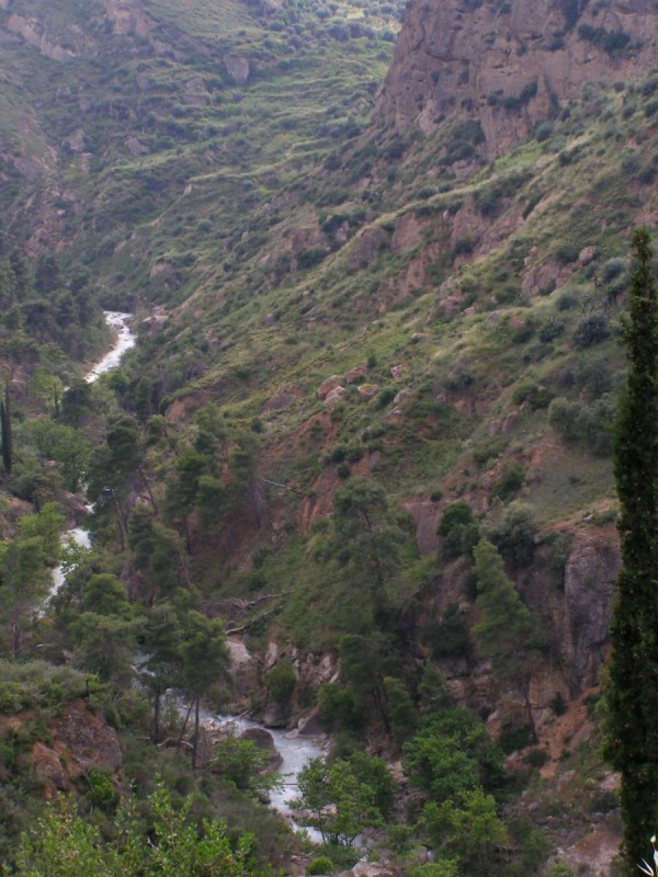P5111613.jpg