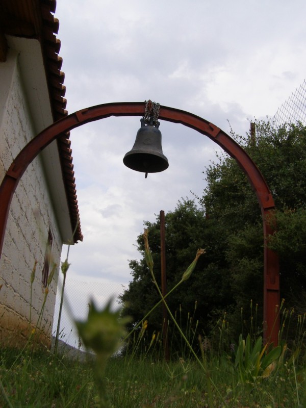 P5111615.jpg
