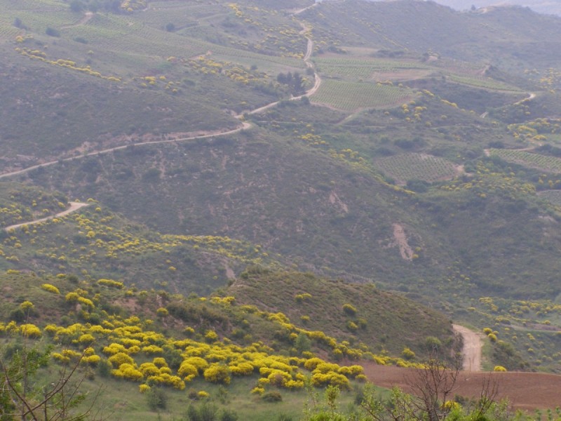 P5111631.jpg