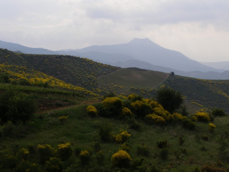 P5111632.jpg