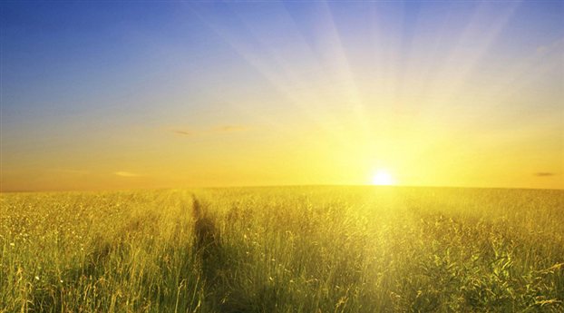The sun.jpg