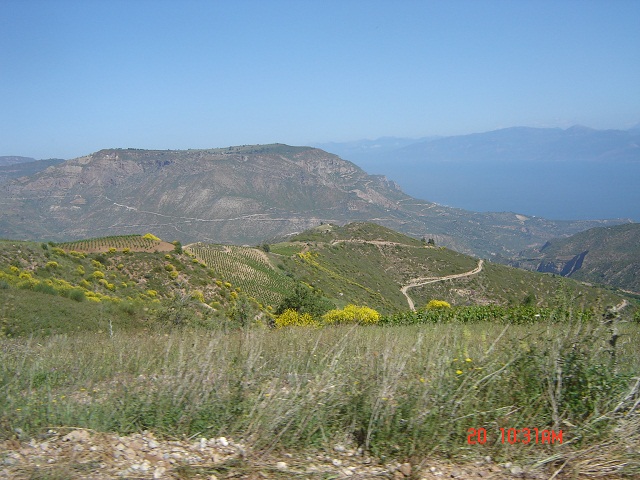 DSC05074.JPG