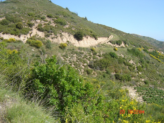 DSC05066.JPG