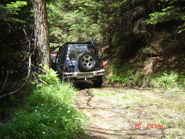 DSC05118.JPG