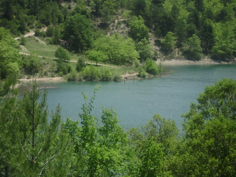 DSC01095.jpg