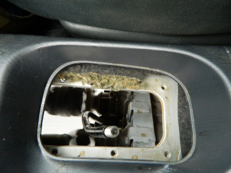 DSCN0770.JPG
