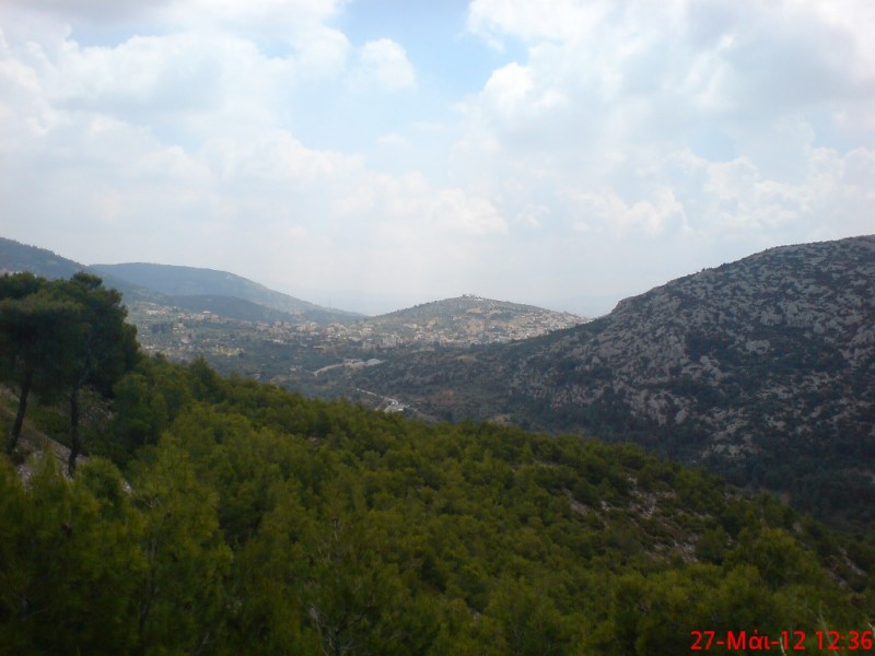 dsc01275.jpg
